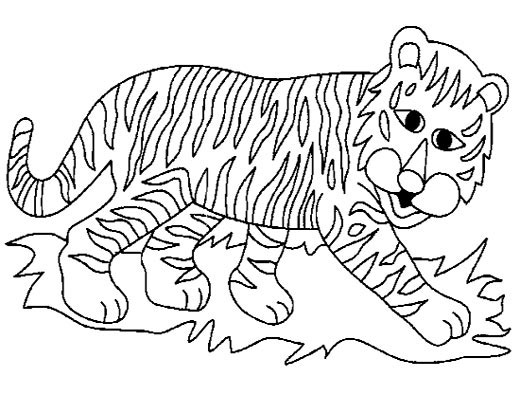 老虎的简笔画5