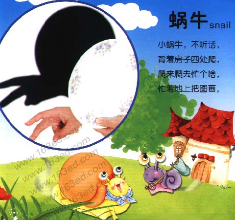 幼儿园手影游戏：蜗牛
