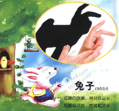 幼儿手影游戏：兔子