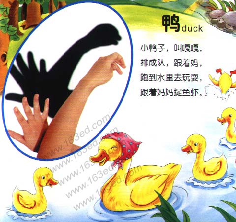 幼儿园手影游戏：鸭子