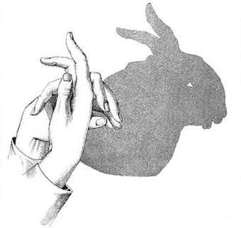 幼儿经典的手影：小兔